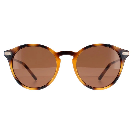 Ted Baker sunglasses 1632 100