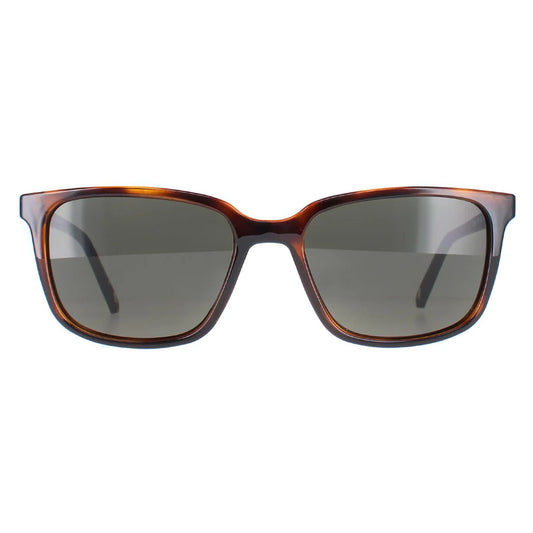 Ted Baker Sunglasses 1529 122